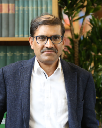 Professor Sanjeev Goyal